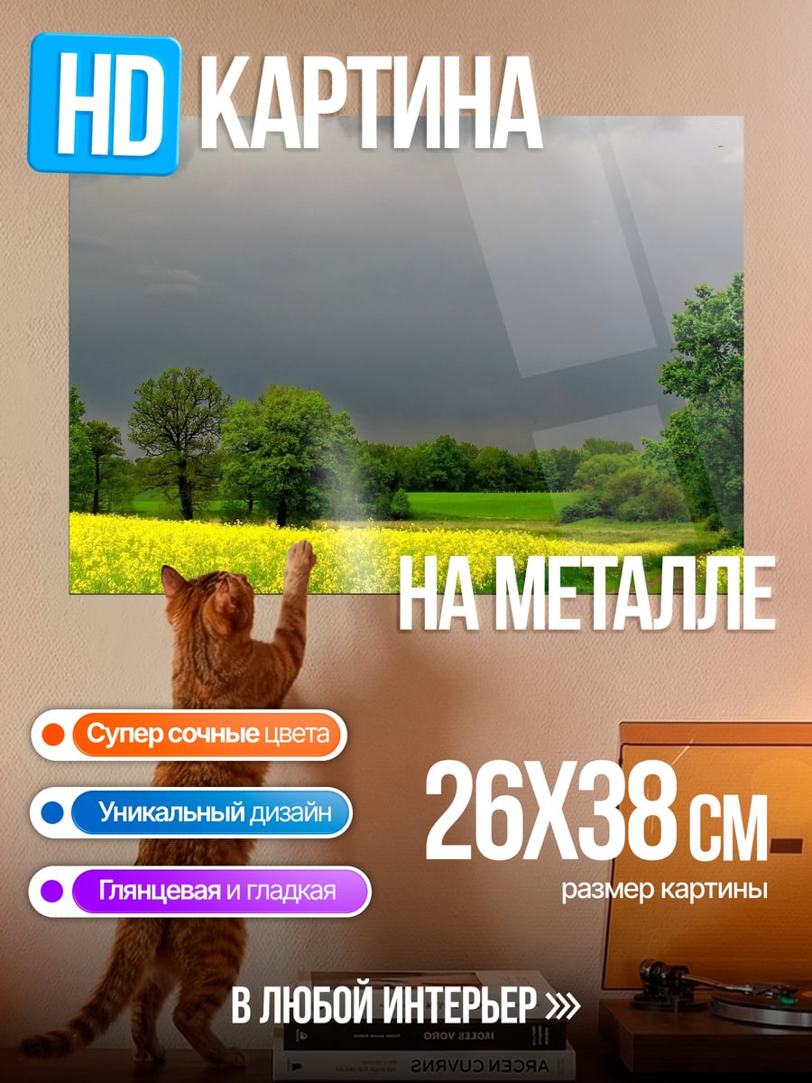 Картина на металле Поле рапса перед грозой