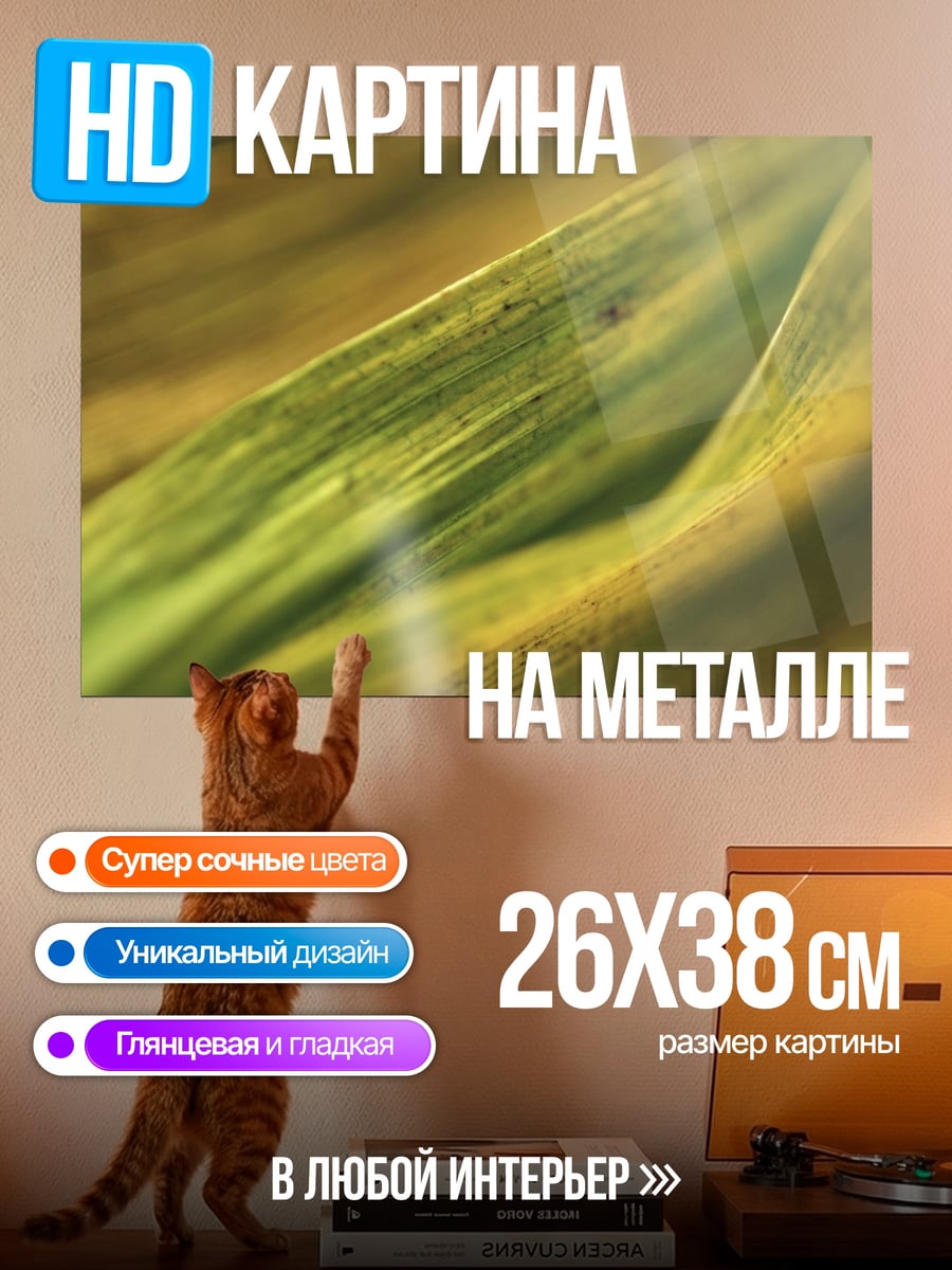Картина на металле Макро лист