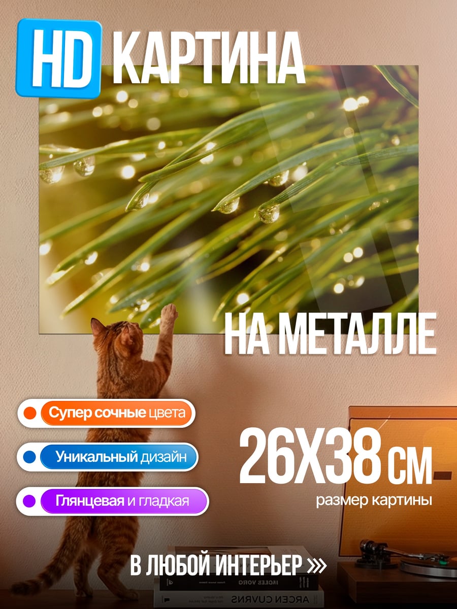 Картина на металле сосновые иголки капли