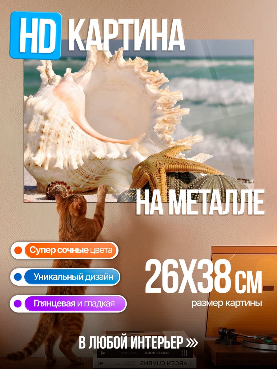 Картина на металле морские ракушки