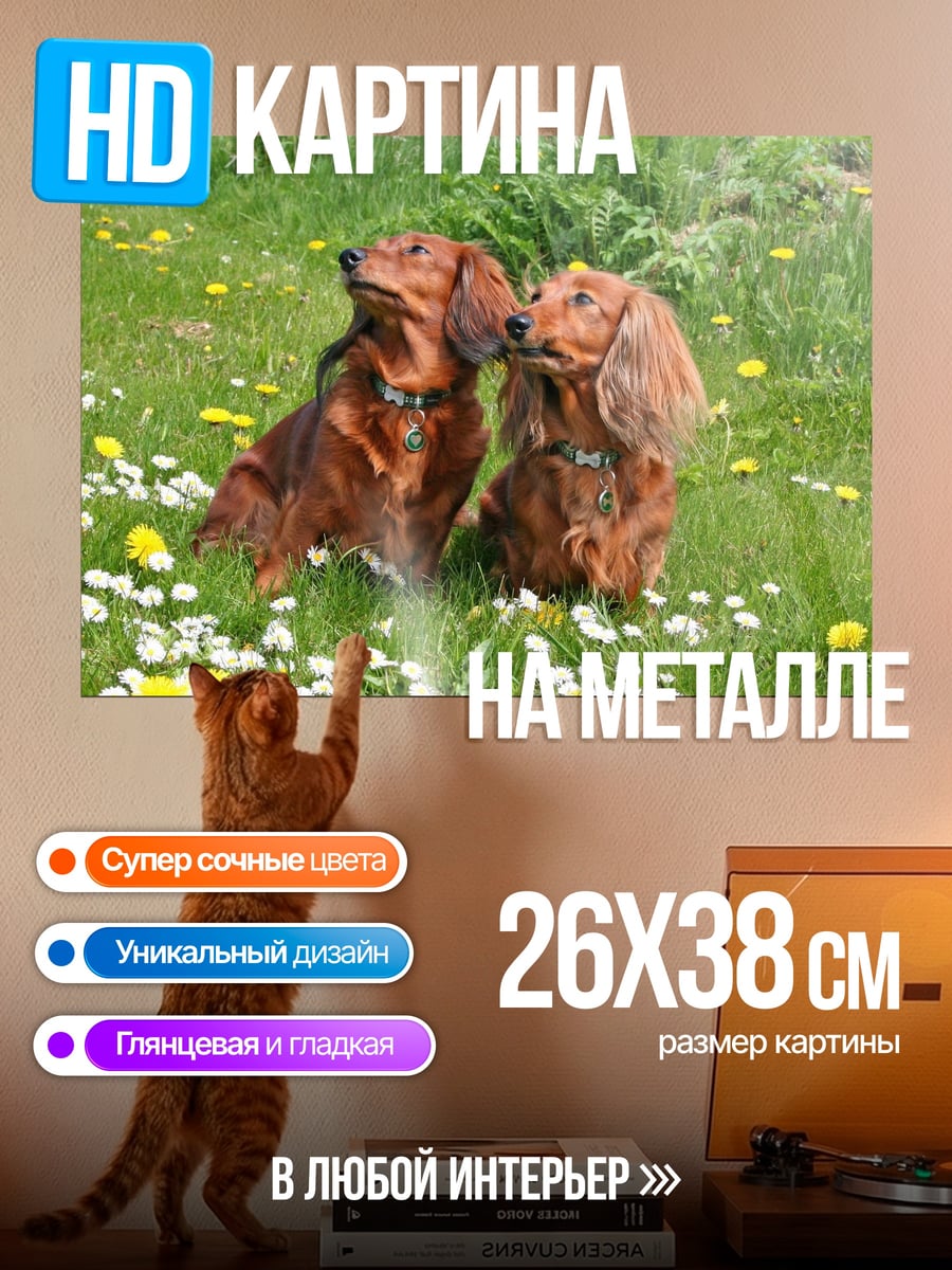 Картина на металле Таксы в цветах