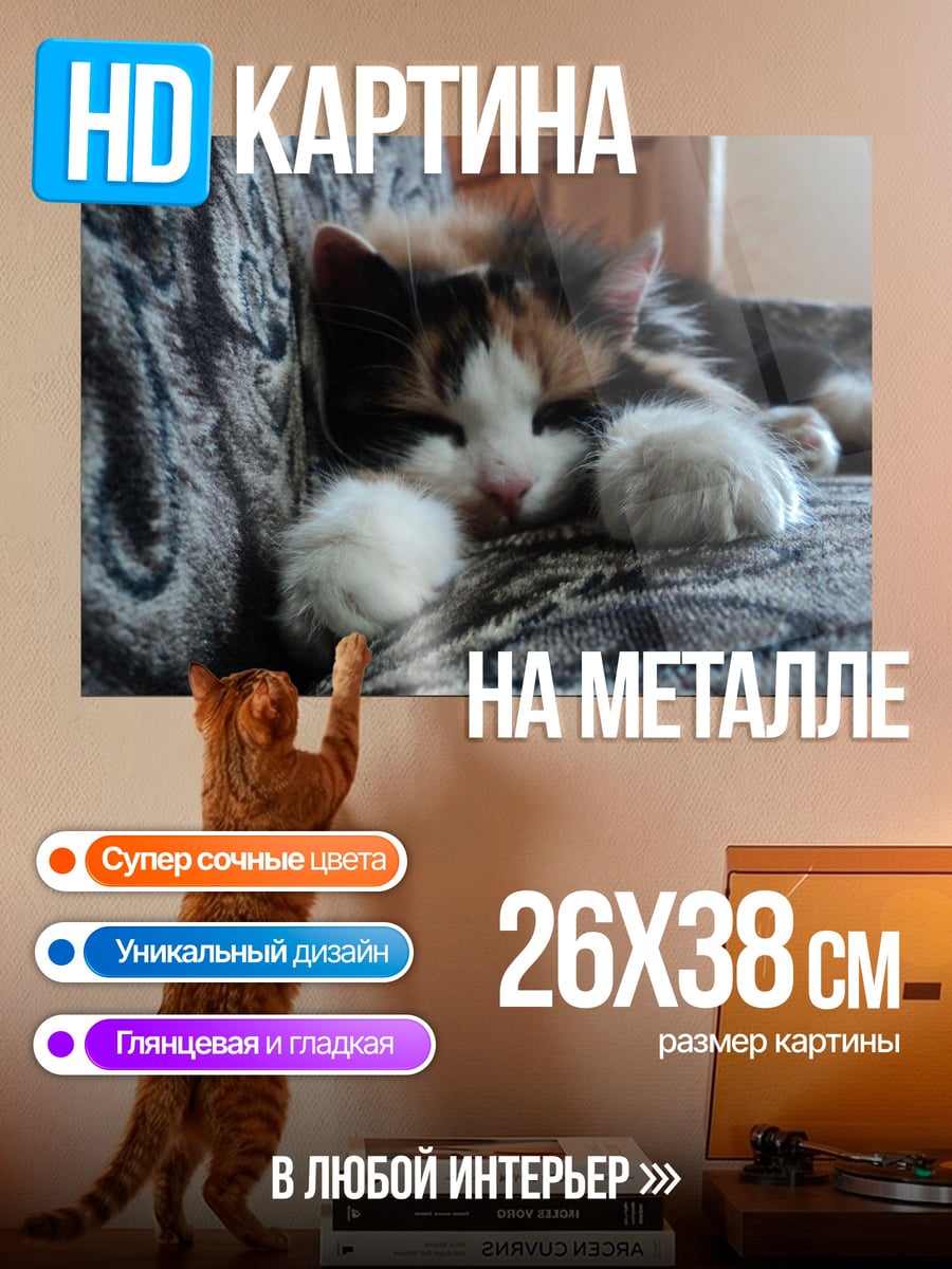 Картина на металле Спящий котенок