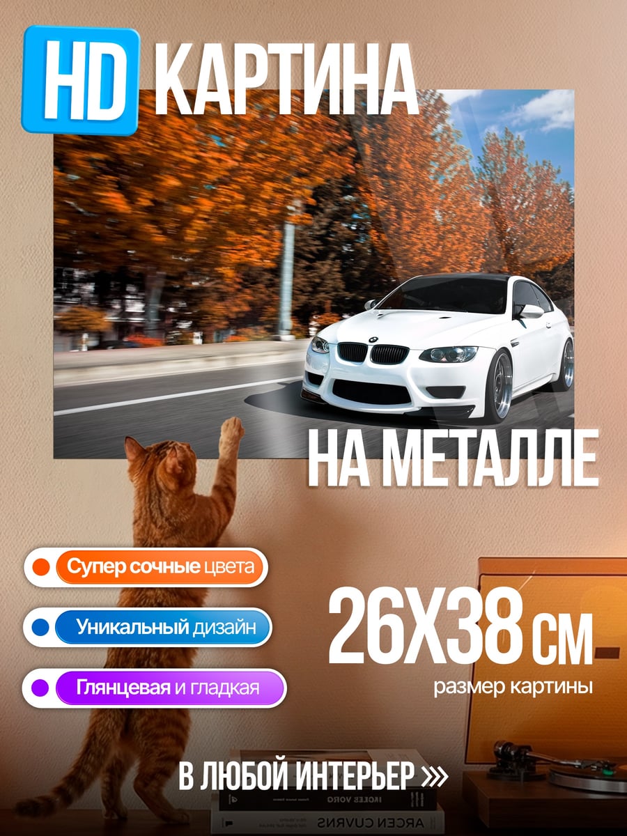Картина на металле Белая машина осенью