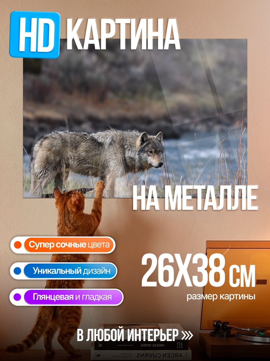 Картина на металле Волк у реки