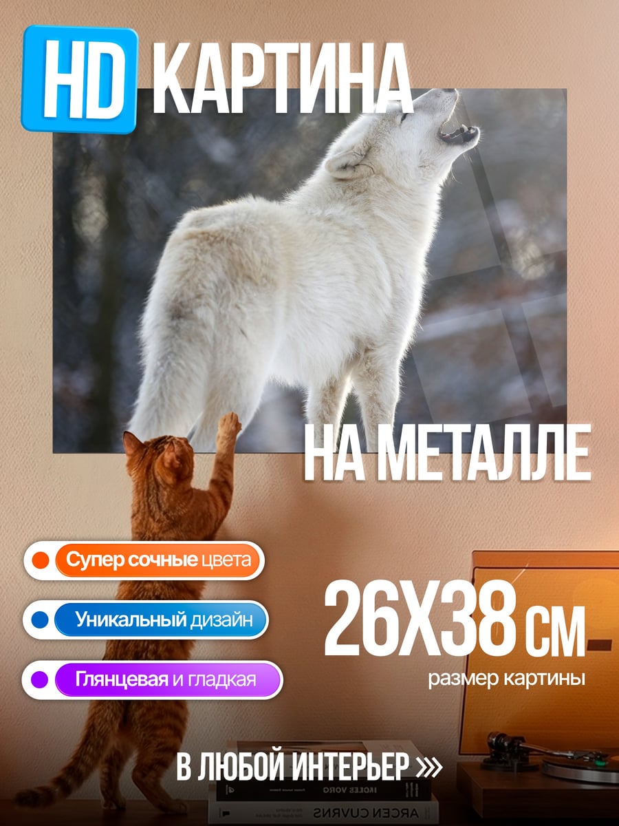 Картина на металле Воющий белый волк