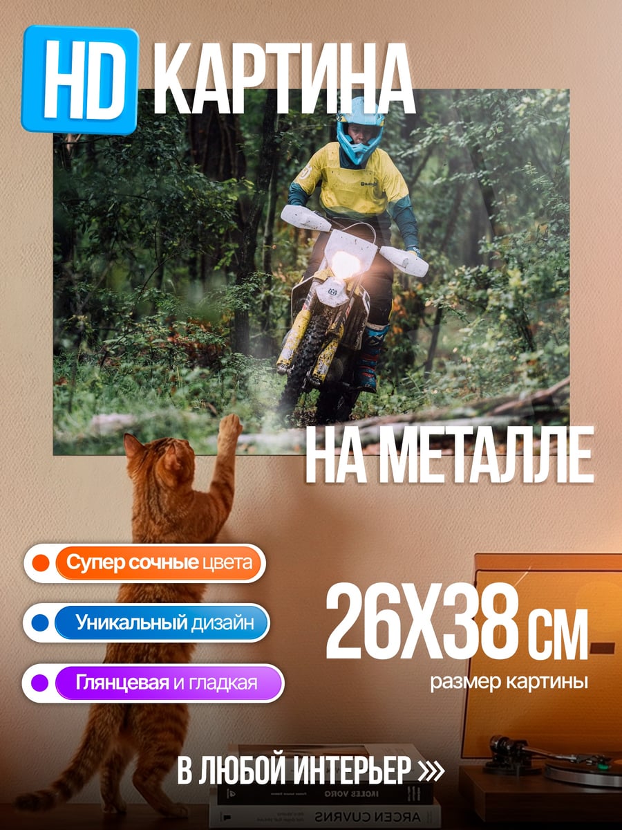 Картина на металле Мотоциклист в лесу