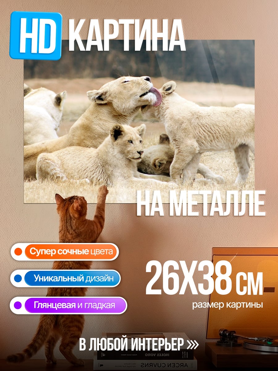 Картина на металле Львиная семья
