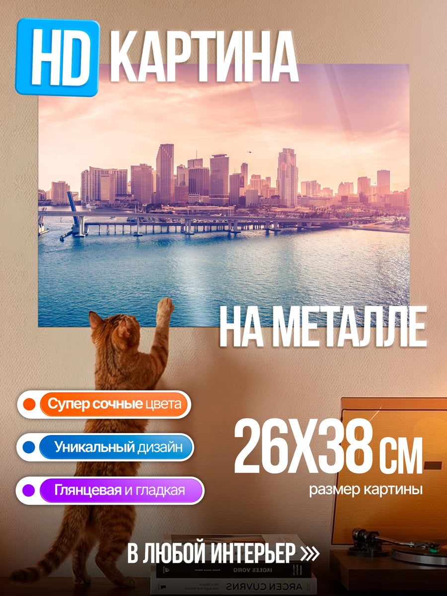 Картина на металле Городской пейзаж закат