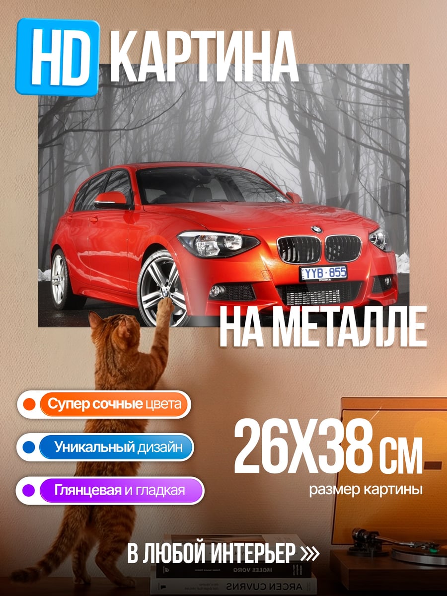Картина на металле Красный BMW