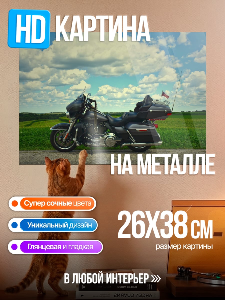Картина на металле Чоппер на дороге