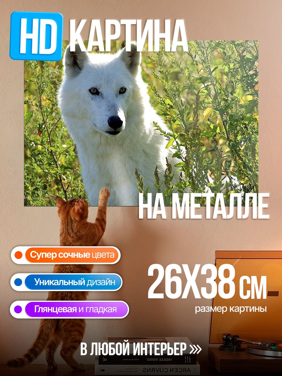 Картина на металле белый волк в траве