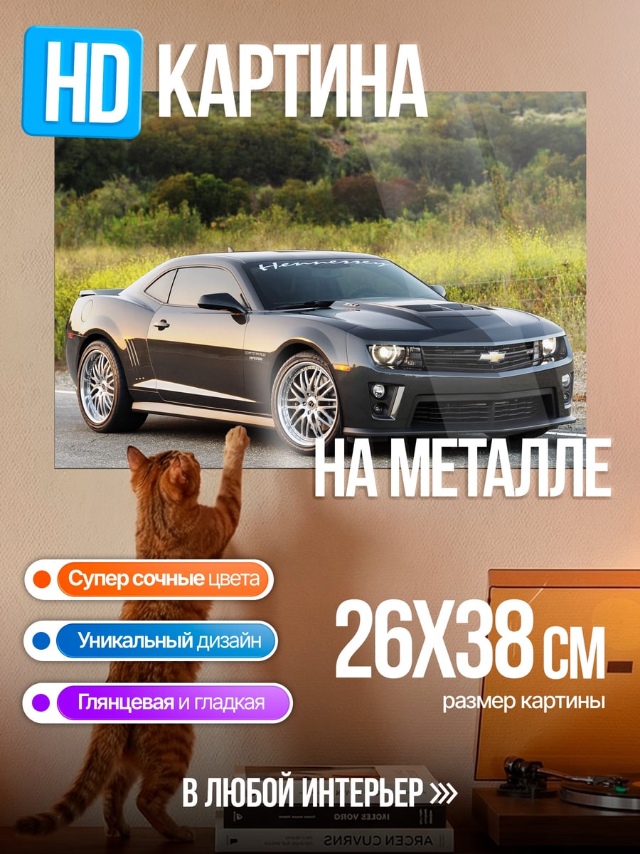 Картина на металле темно-серый камаро