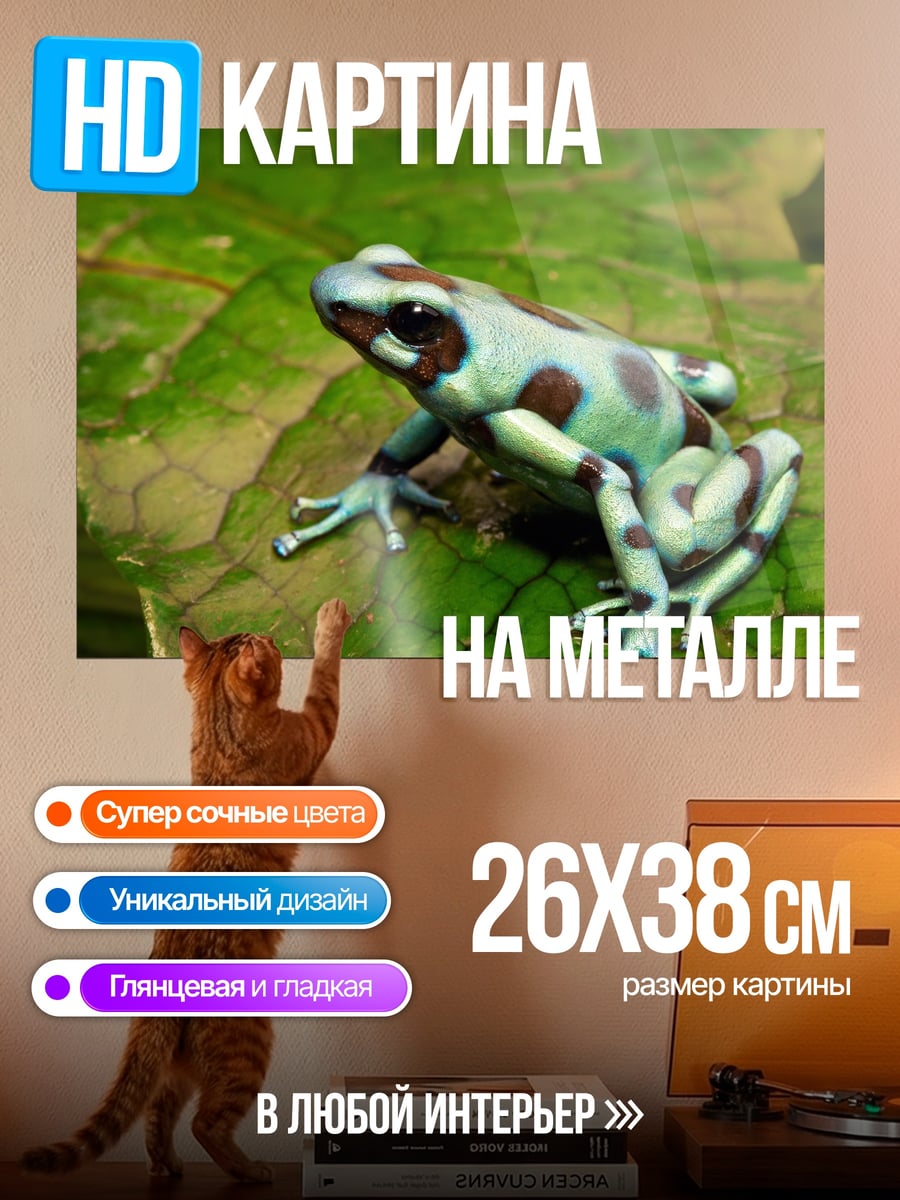Картина на металле Ядовитая лягушка