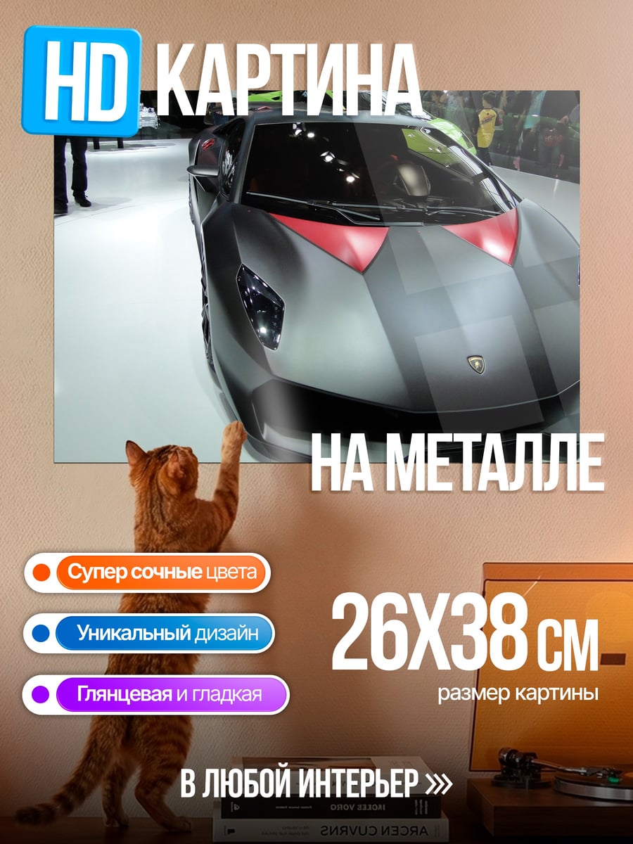 Картина на металле Серый Lamborghini