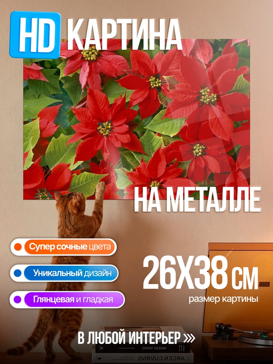 Картина на металле красные цветы пуансеттии