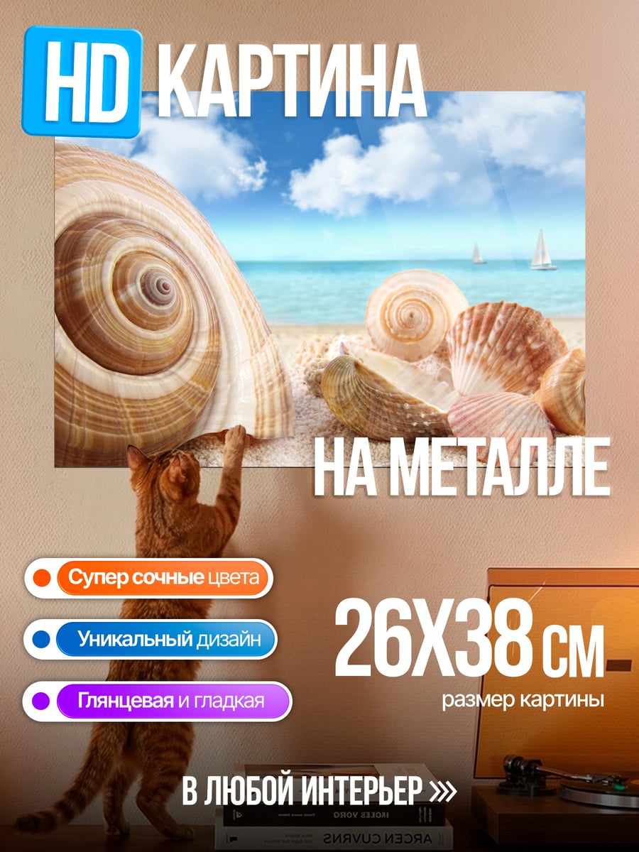 Картина на металле Ракушки на пляже