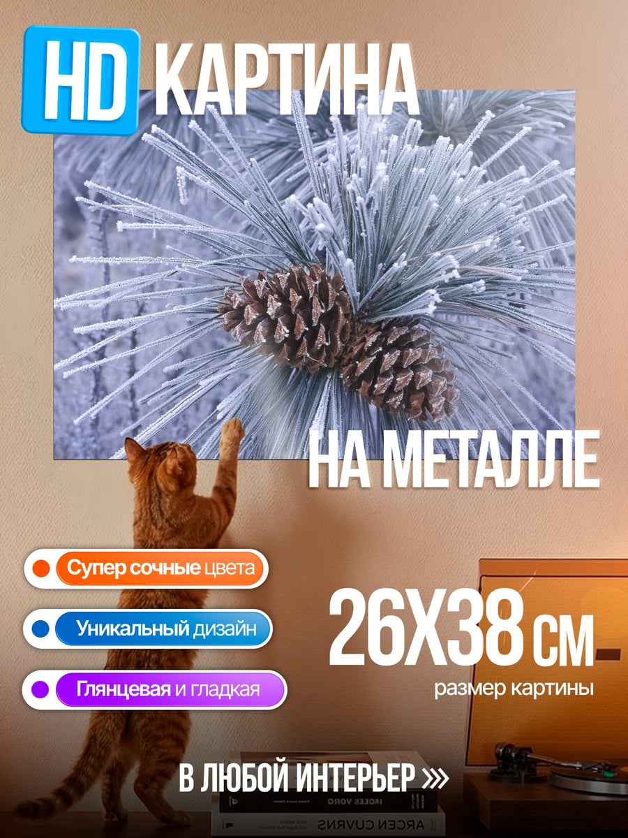 Картина на металле сосновая шишка