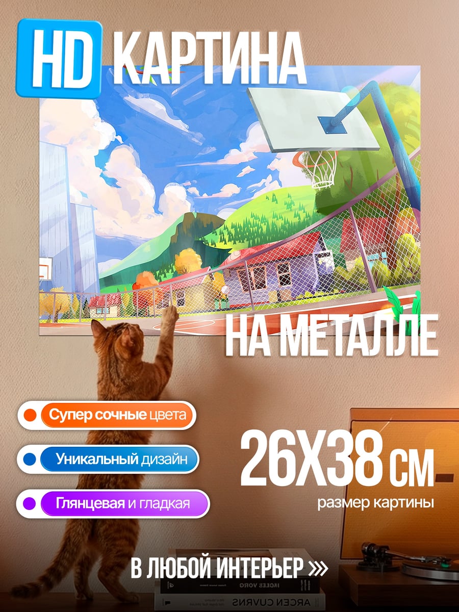 Картина на металле баскетбольная площадка