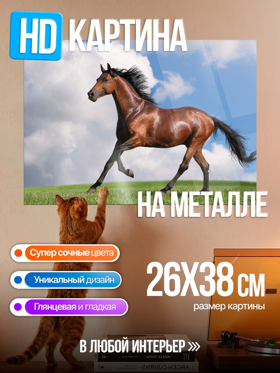 Картина на металле Бегущий Конь Поле