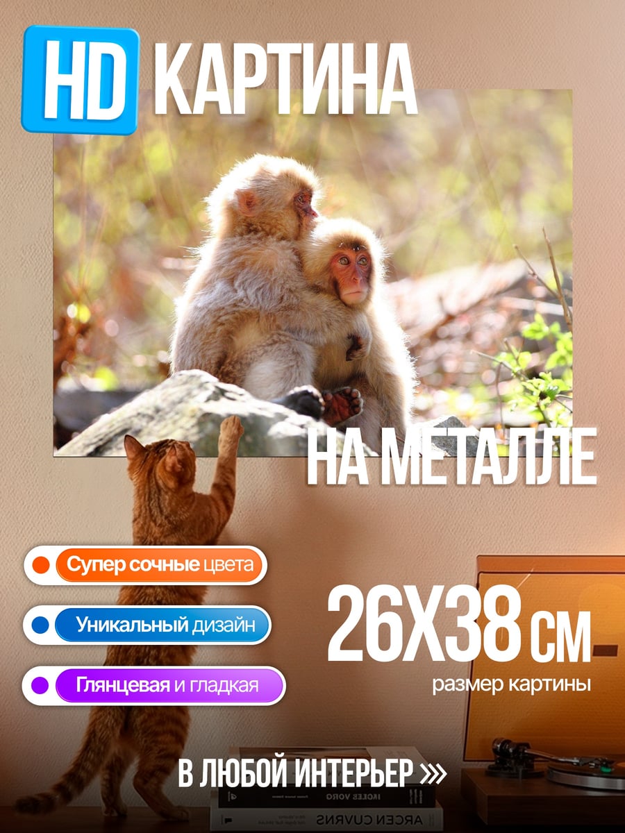 Картина на металле обезьяны в объятиях