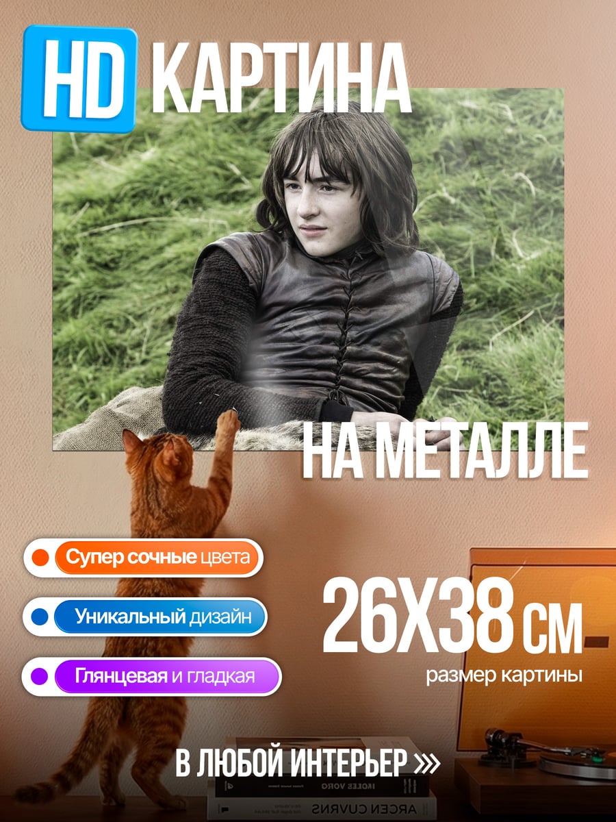 Картина на металле Бран Старк