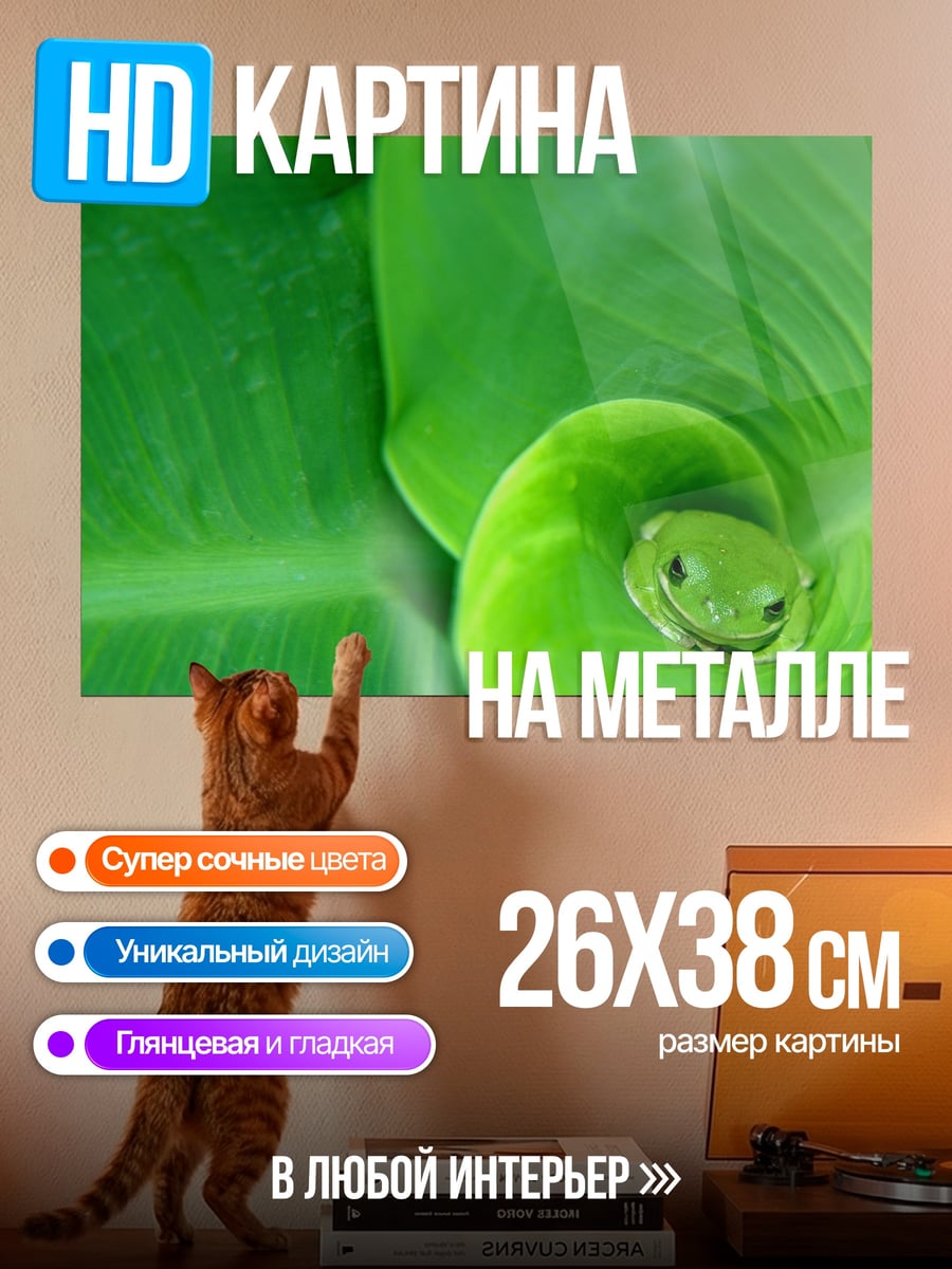 Картина на металле зеленая лягушка