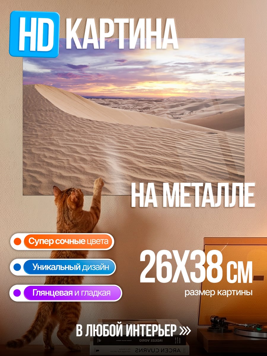 Картина на металле Песчаные дюны закат