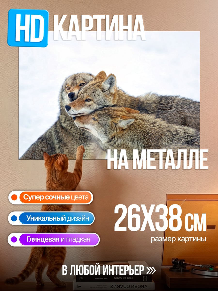 Картина на металле Зимние волки вместе