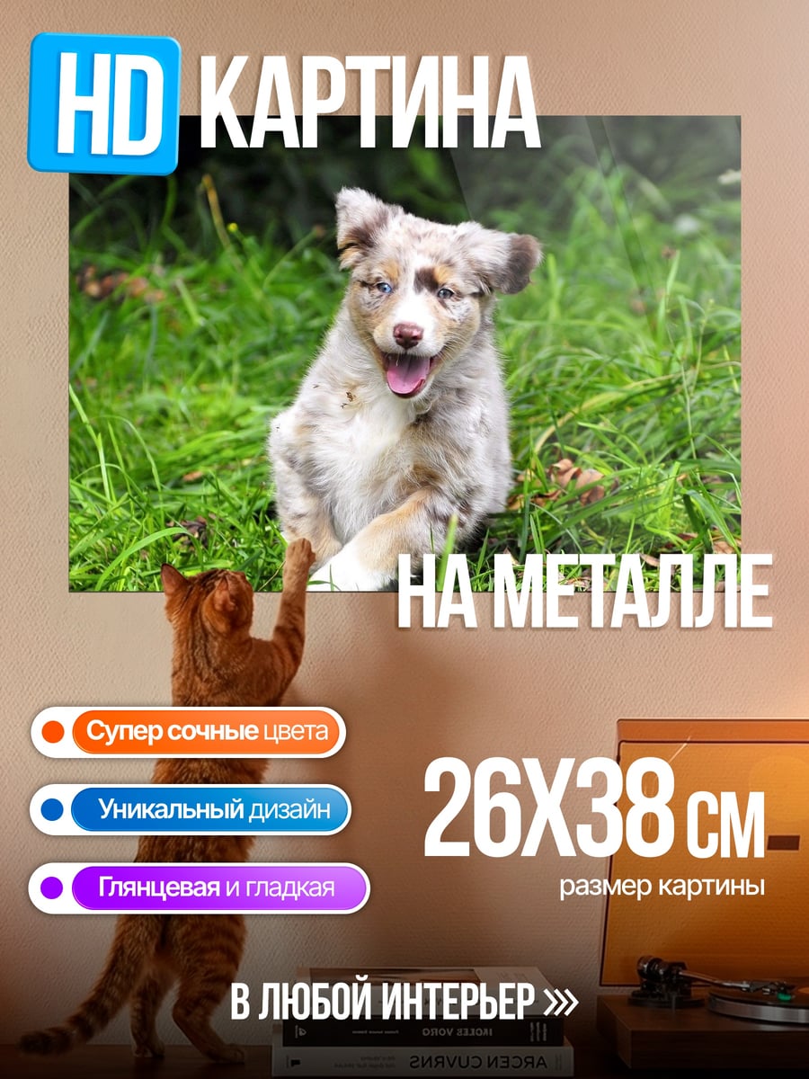 Картина на металле Щенок в траве