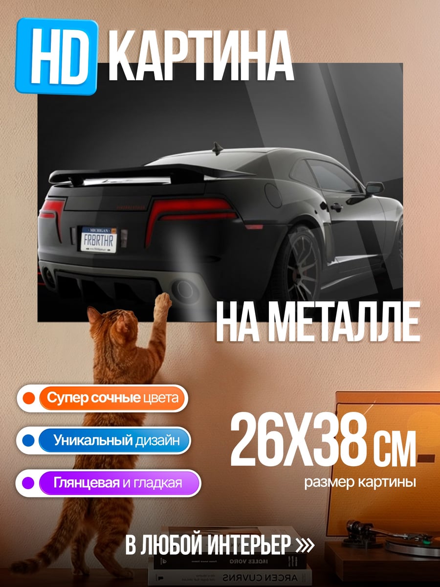 Картина на металле чёрный маслкар