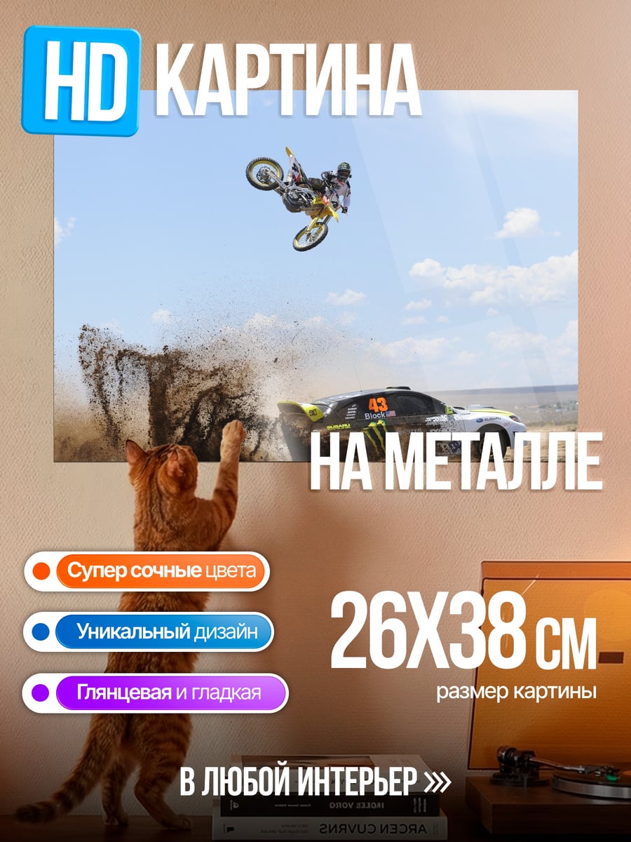 Картина на металле мотофристайл трюк