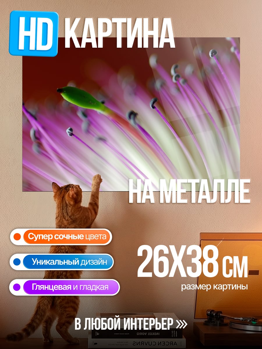 Картина на металле Макро цветок