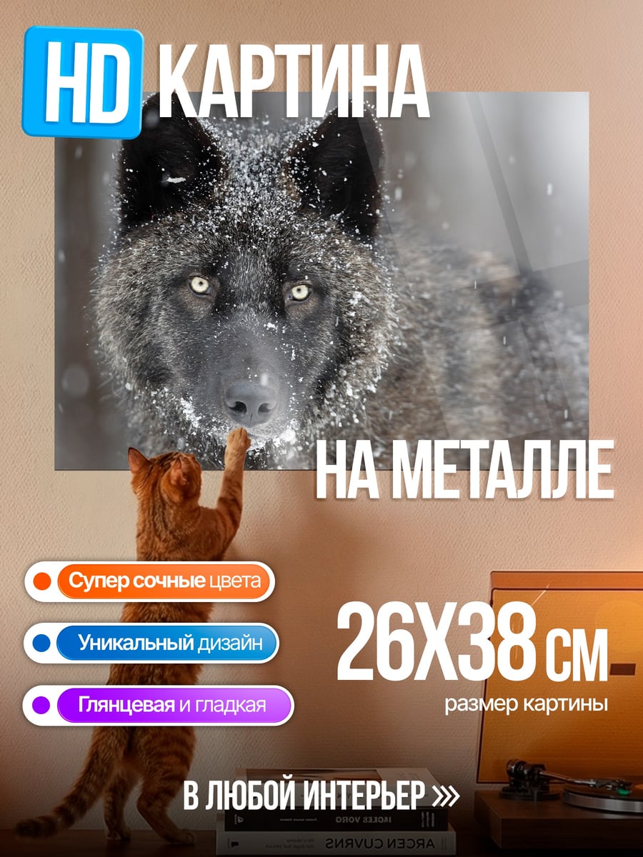 Картина на металле Черный волк зимой