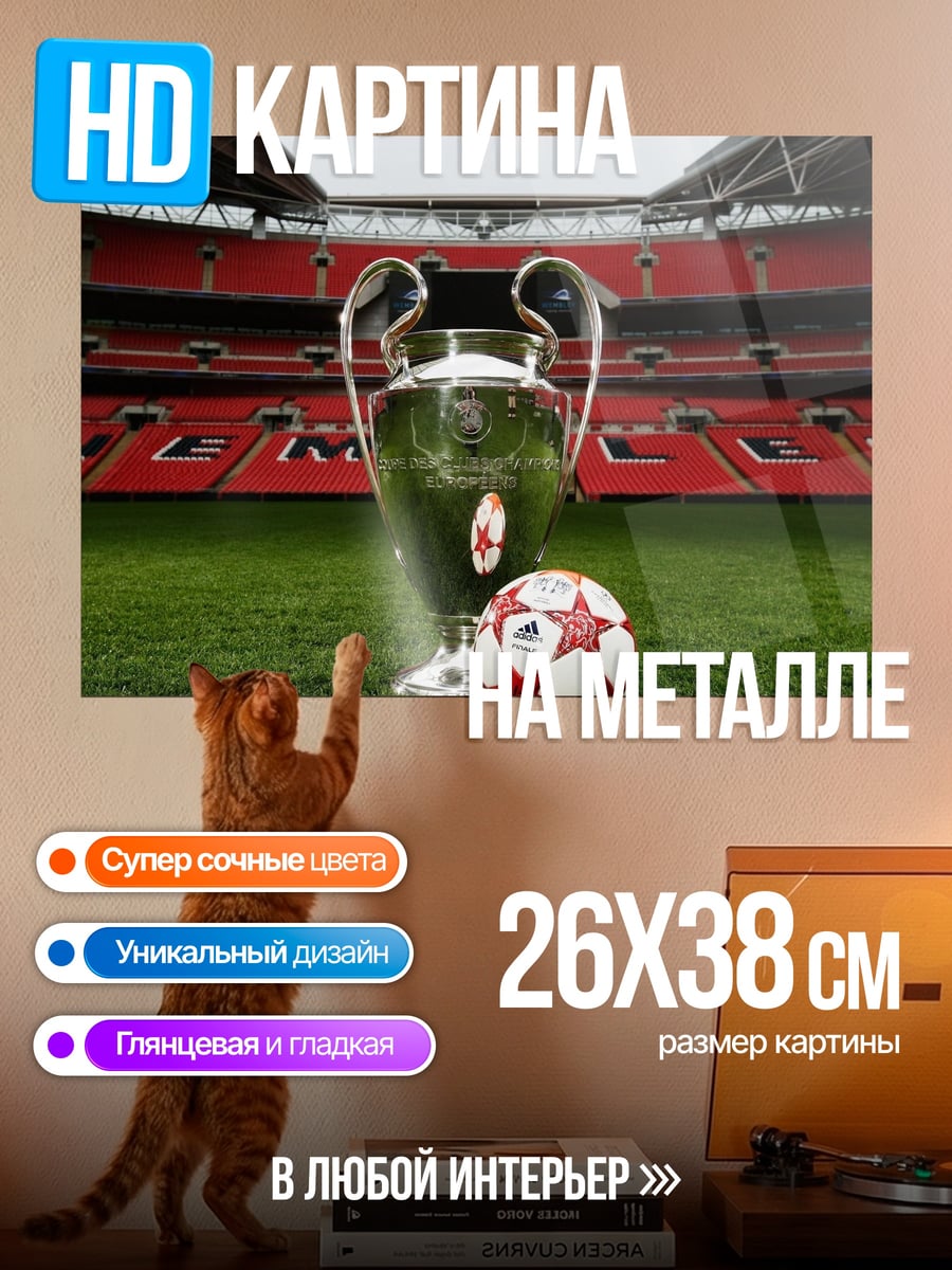 Картина на металле Кубок чемпионов и мяч