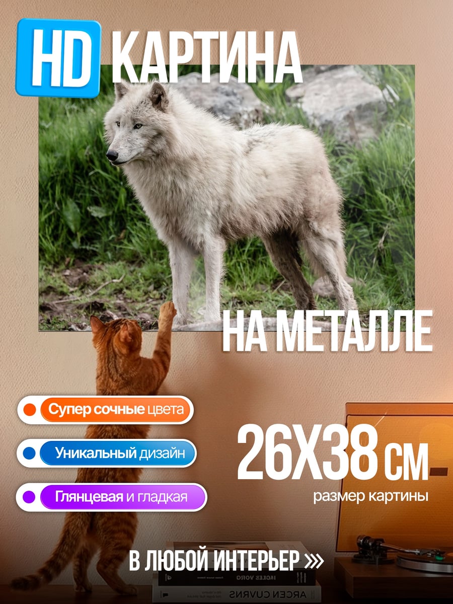 Картина на металле Белый волк в лесу