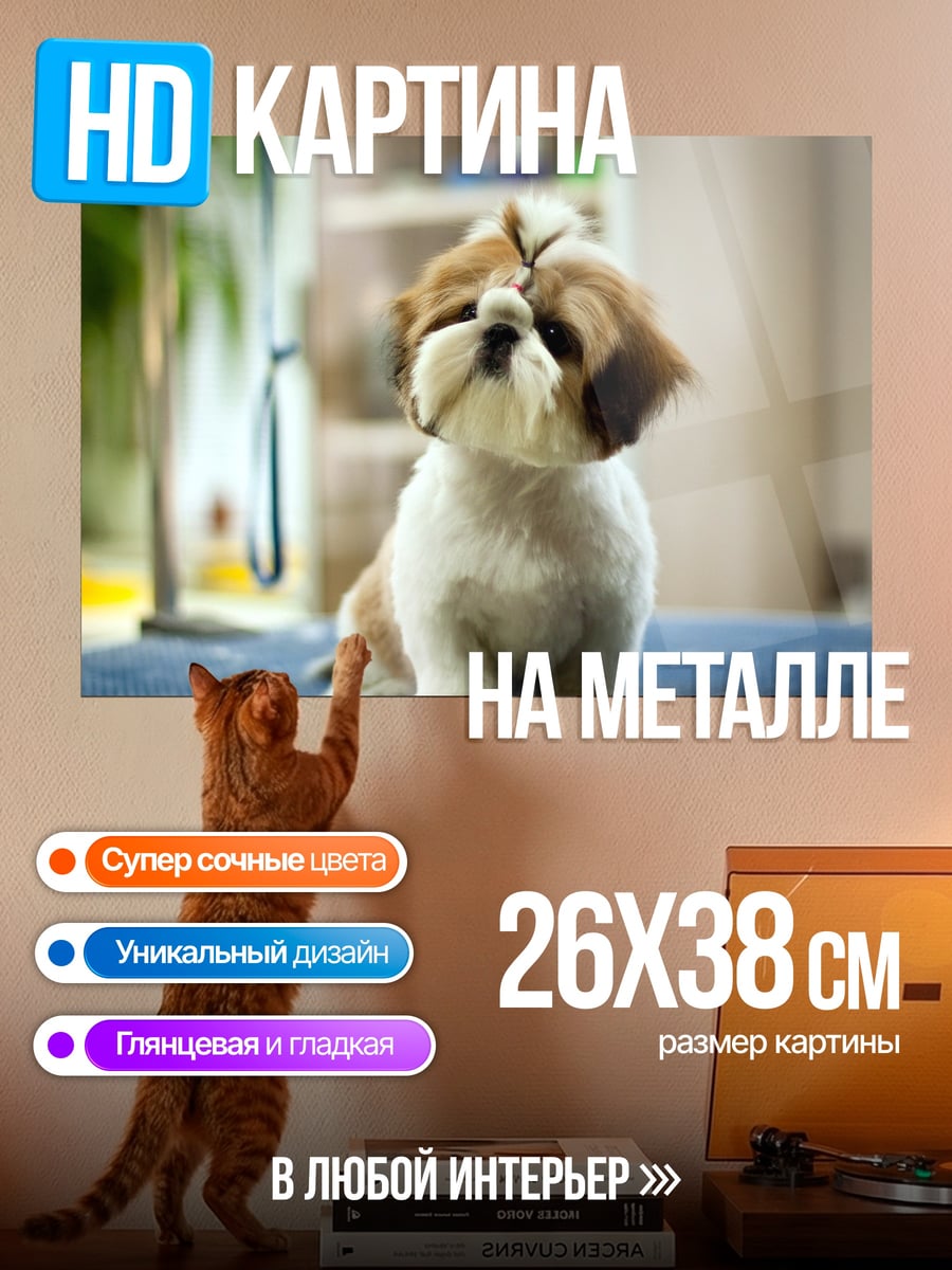 Картина на металле Милый пёс ши-тцу