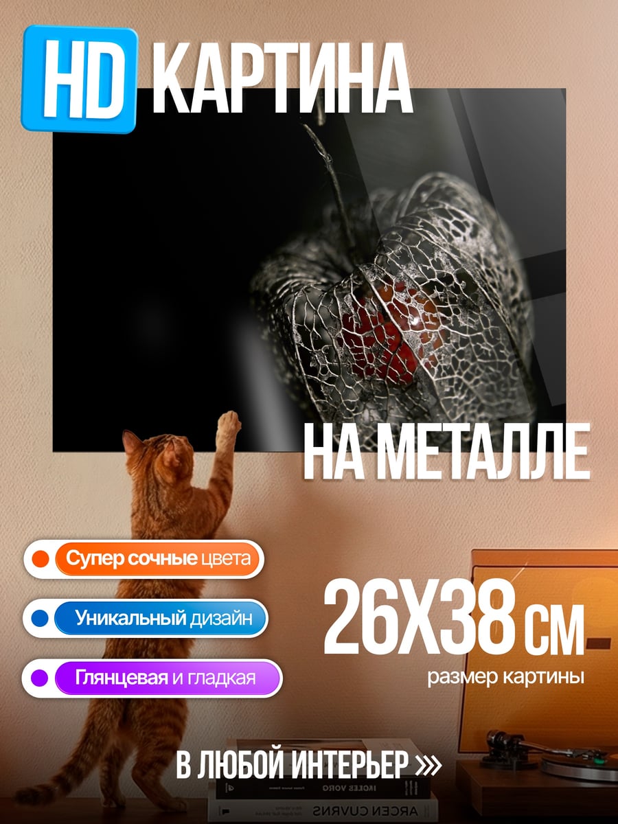 Картина на металле Сухой цветок фонарь