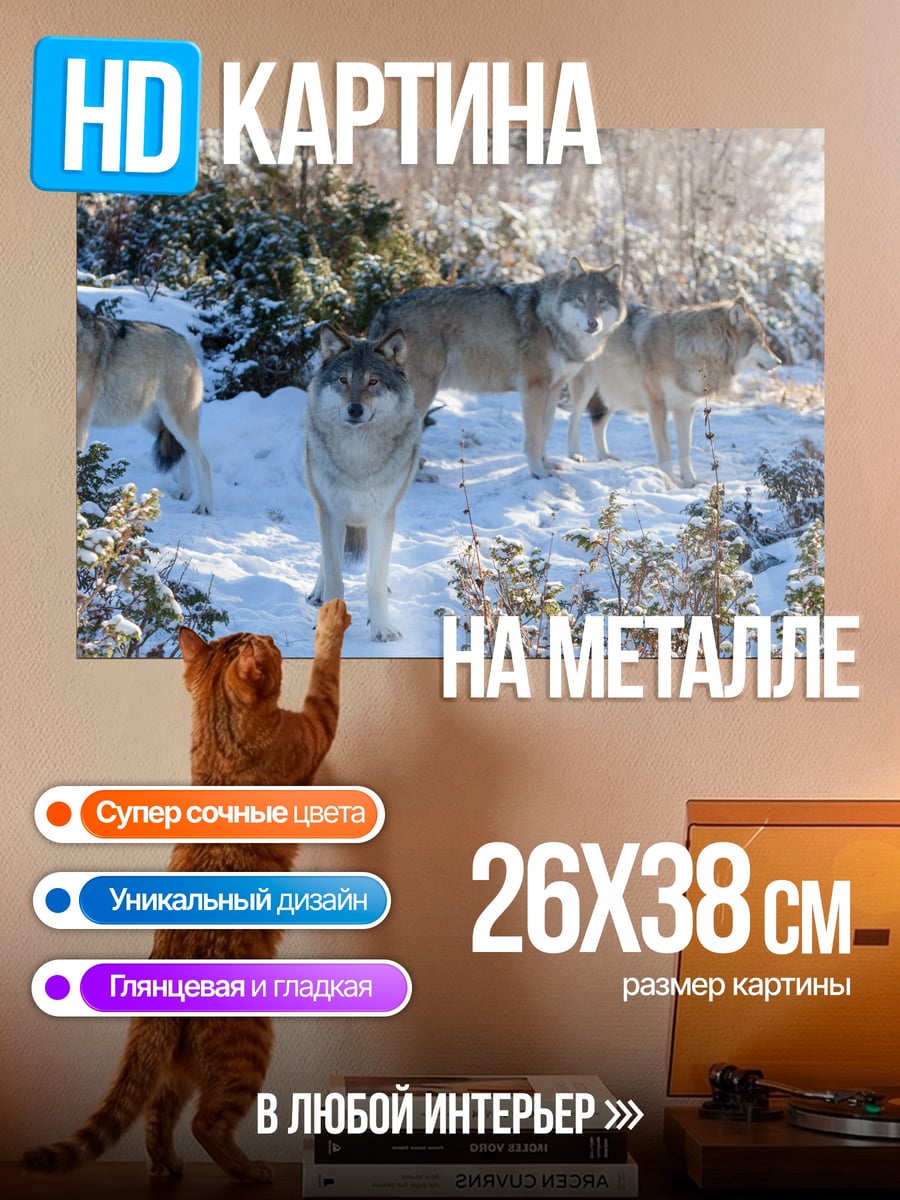 Картина на металле Волки в снегу