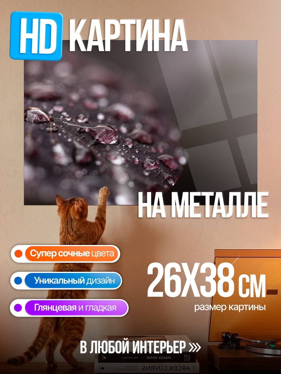 Картина на металле капли на лепестке