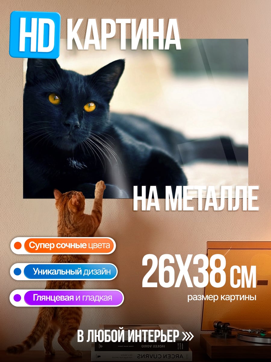 Картина на металле черный кот желтые глаза
