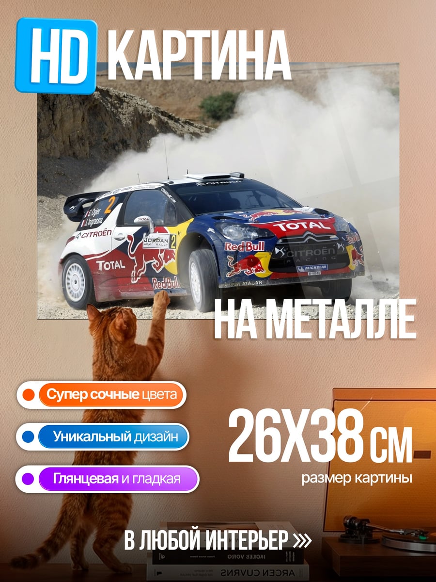 Картина на металле раллийный автомобиль в пыли
