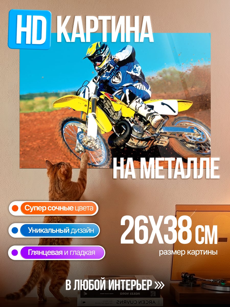 Картина на металле Мотогонщик на трассе