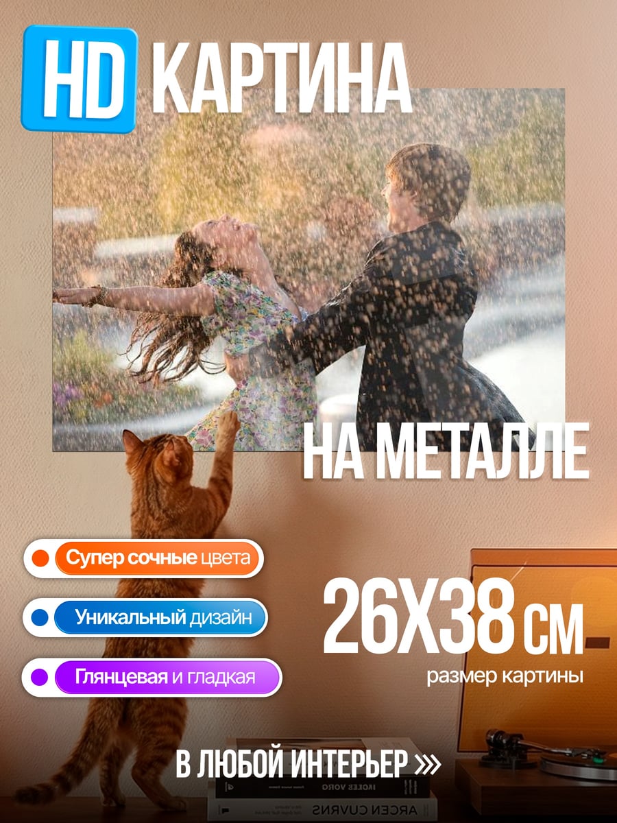 Картина на металле Пара под дождем