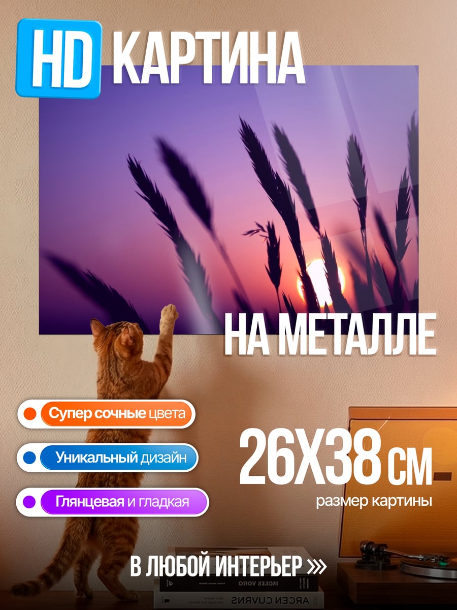 Картина на металле Закат в траве