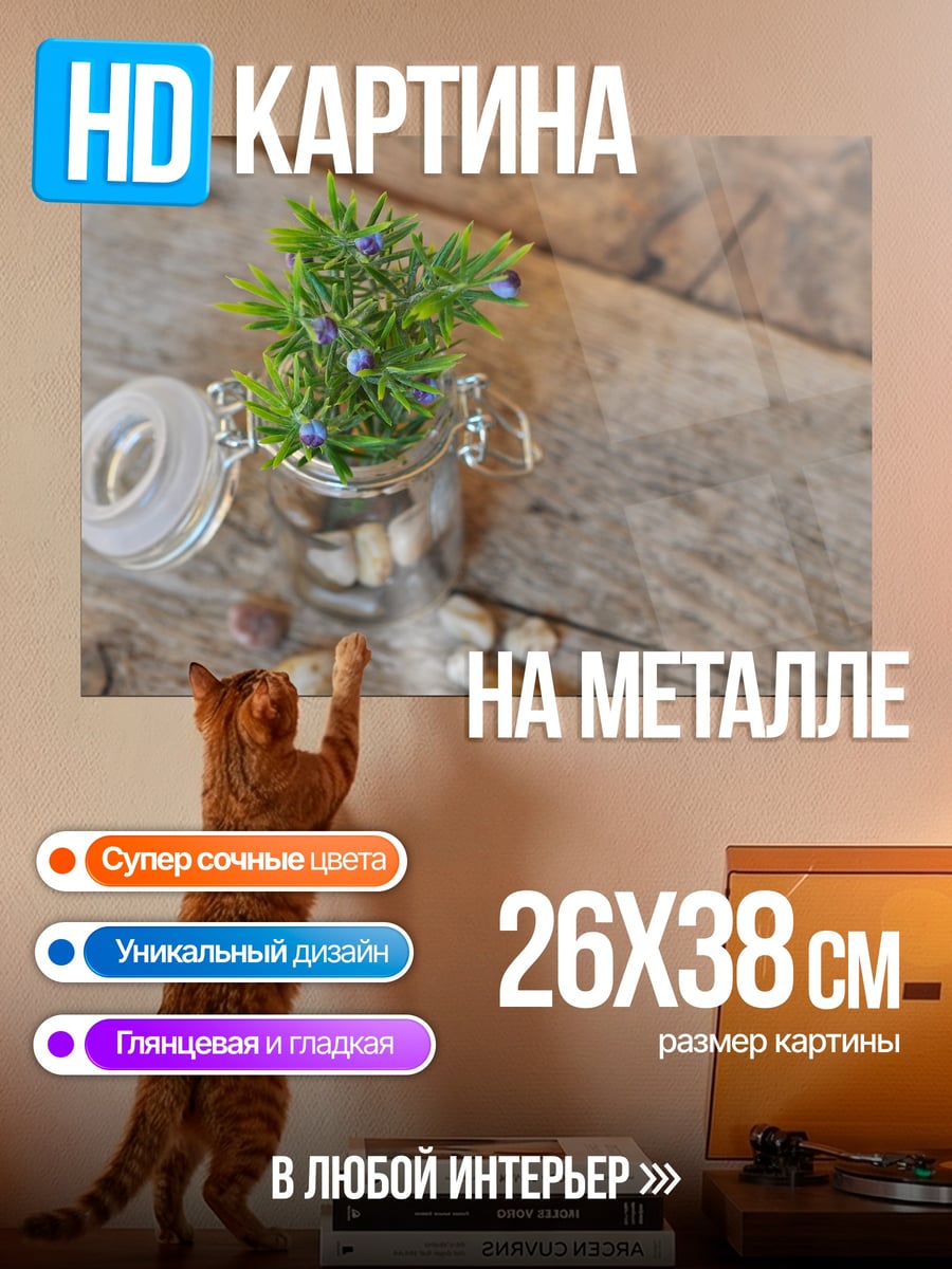 Картина на металле Мини сад камней