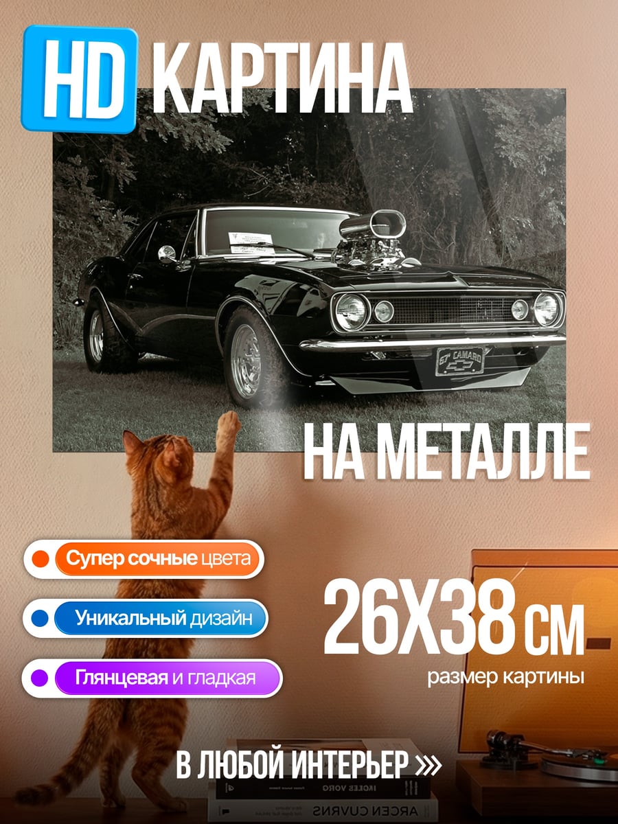 Картина на металле Черный маслкар