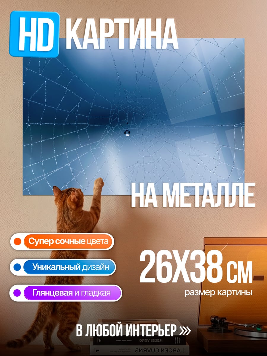 Картина на металле Паутина с каплями
