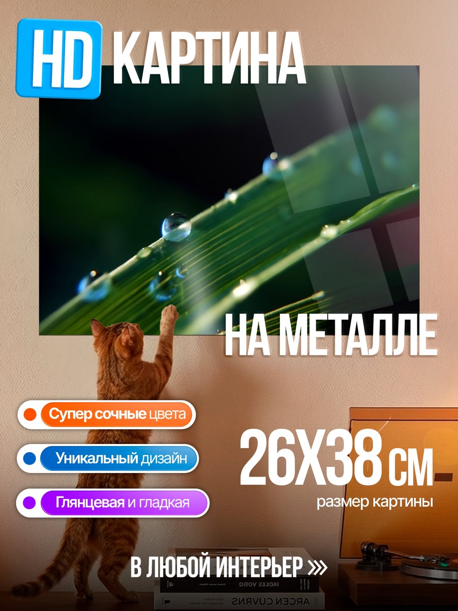 Картина на металле Капли росы трава