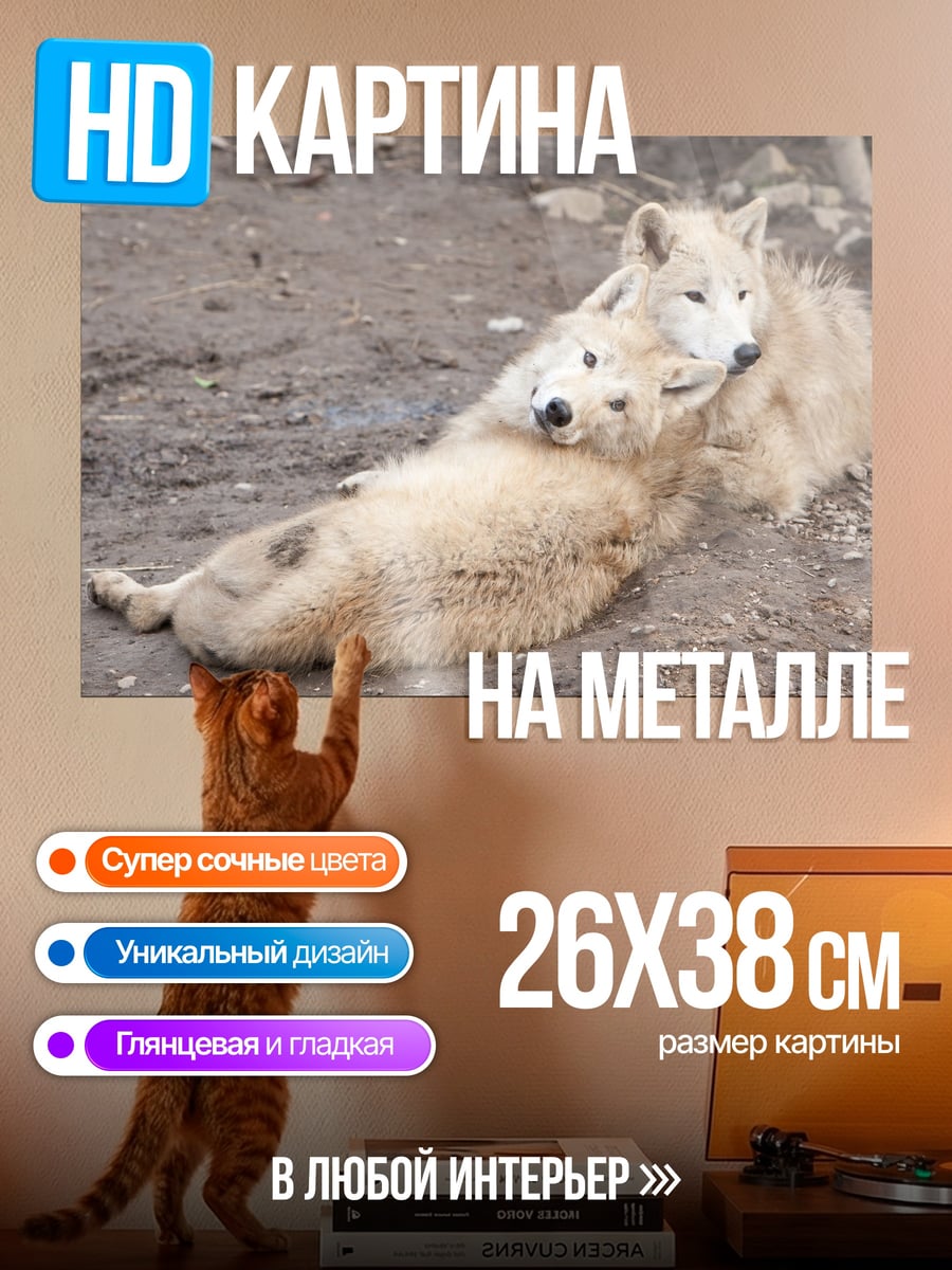 Картина на металле Два белых волка