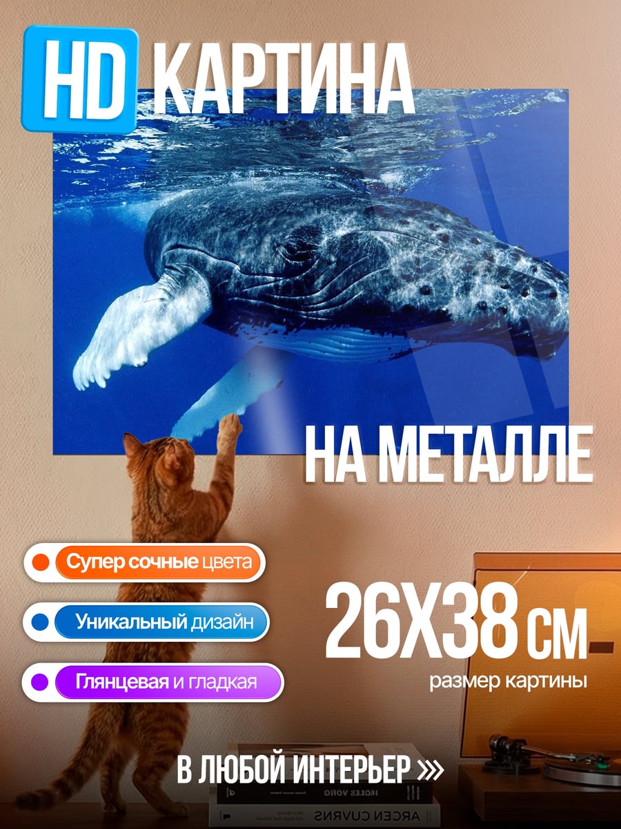 Картина на металле Горбатый кит под водой